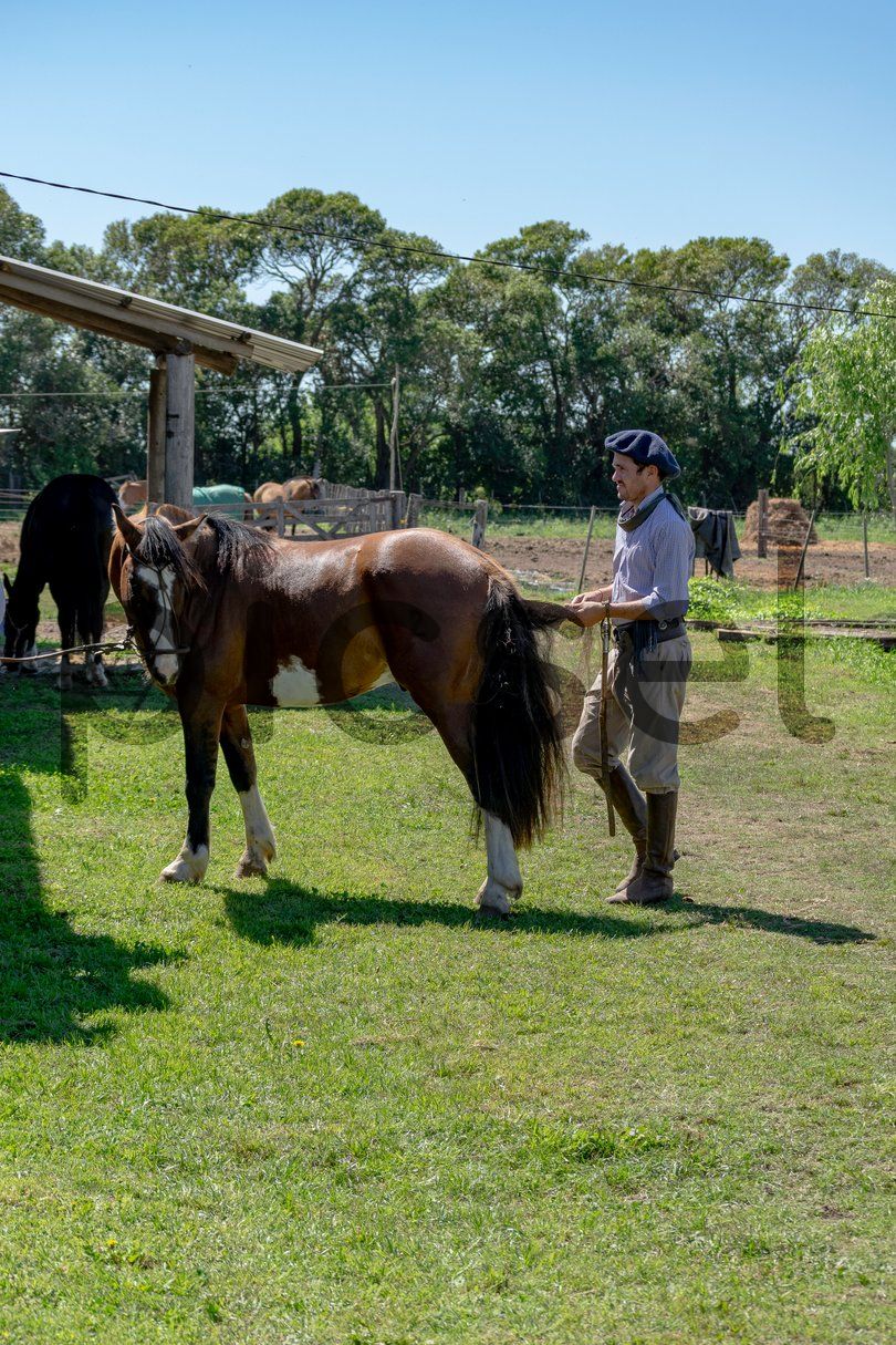 Photo of mulymhdn2ay2jd9ldp0zc7ks