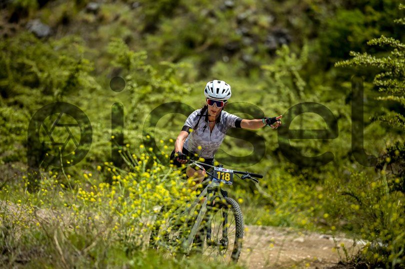 Photo of u4ps1tqhdw54qzlwqk9wze5q