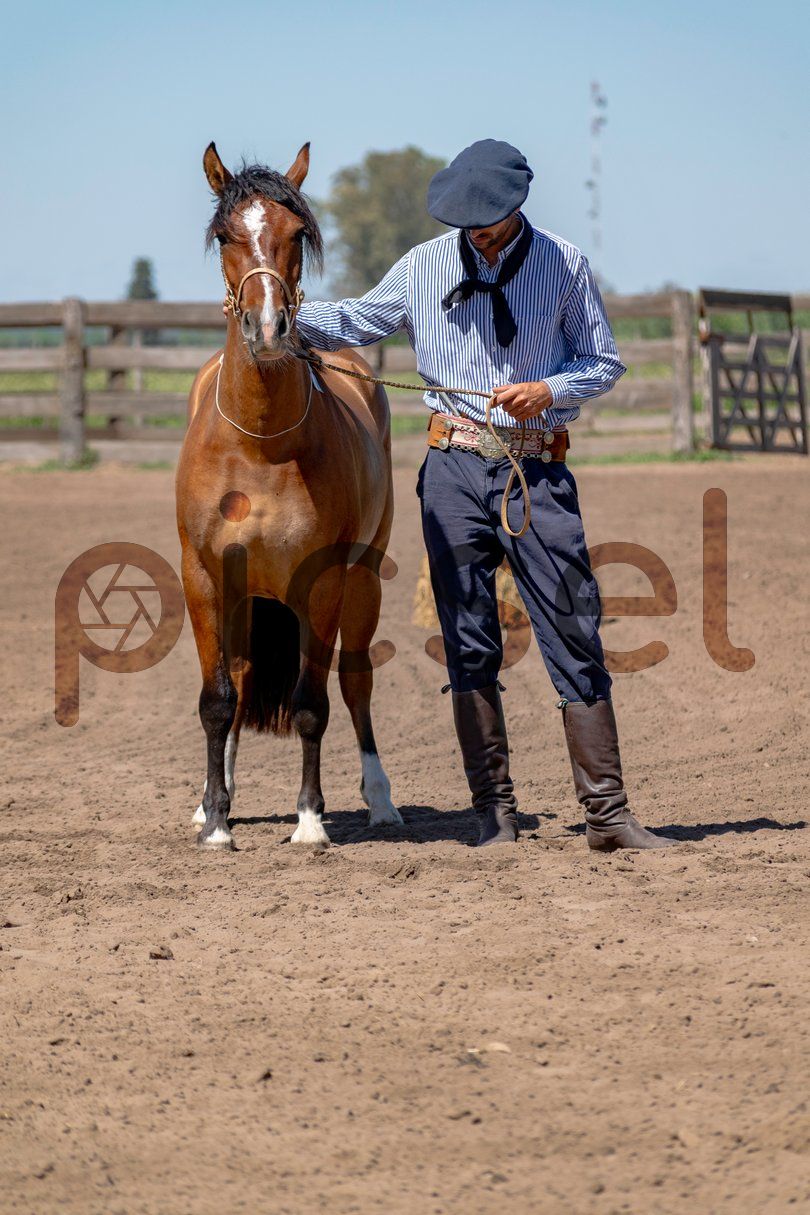 Photo of sm8q47cfoilmt1w1aeq03635