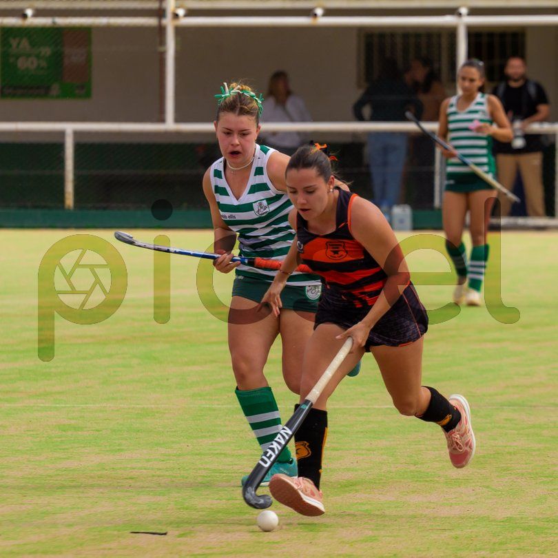 Photo of ae4n64v3xtdkxzyrih0tjb7o