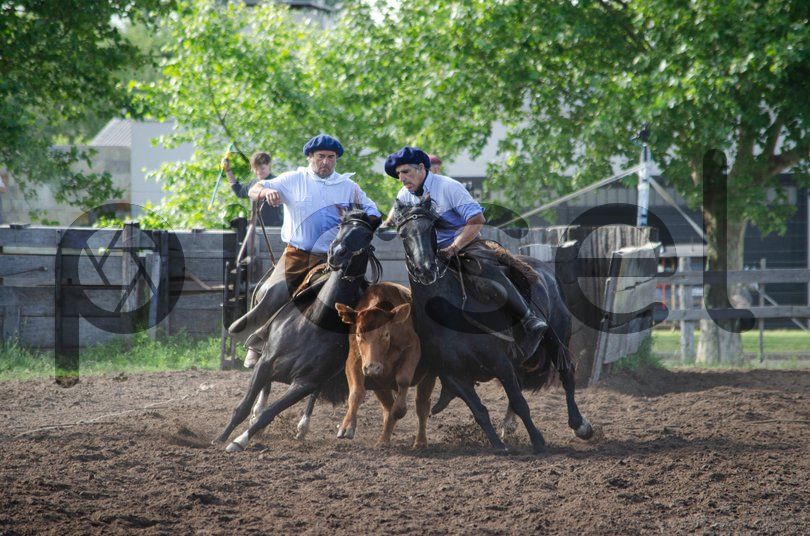 Photo of icxfvs2j9u6jlm2nvwzt021i