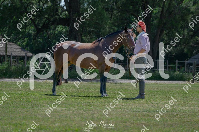 Photo of cj2m91850zf3o7p4hn022na7