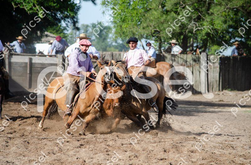 Photo of oj87slztrfa0euh7y2xg2vgk