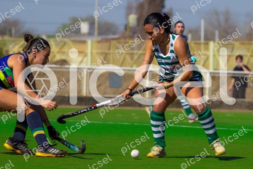 Photo of sty009c67yskymk2ishhtpy2