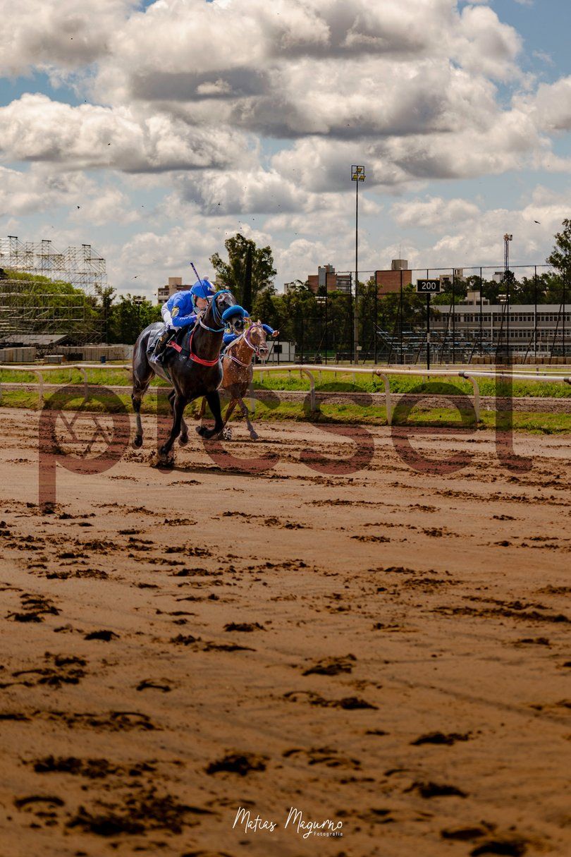 Photo of kkbj8o1slsp7vgg8v2neu7ds