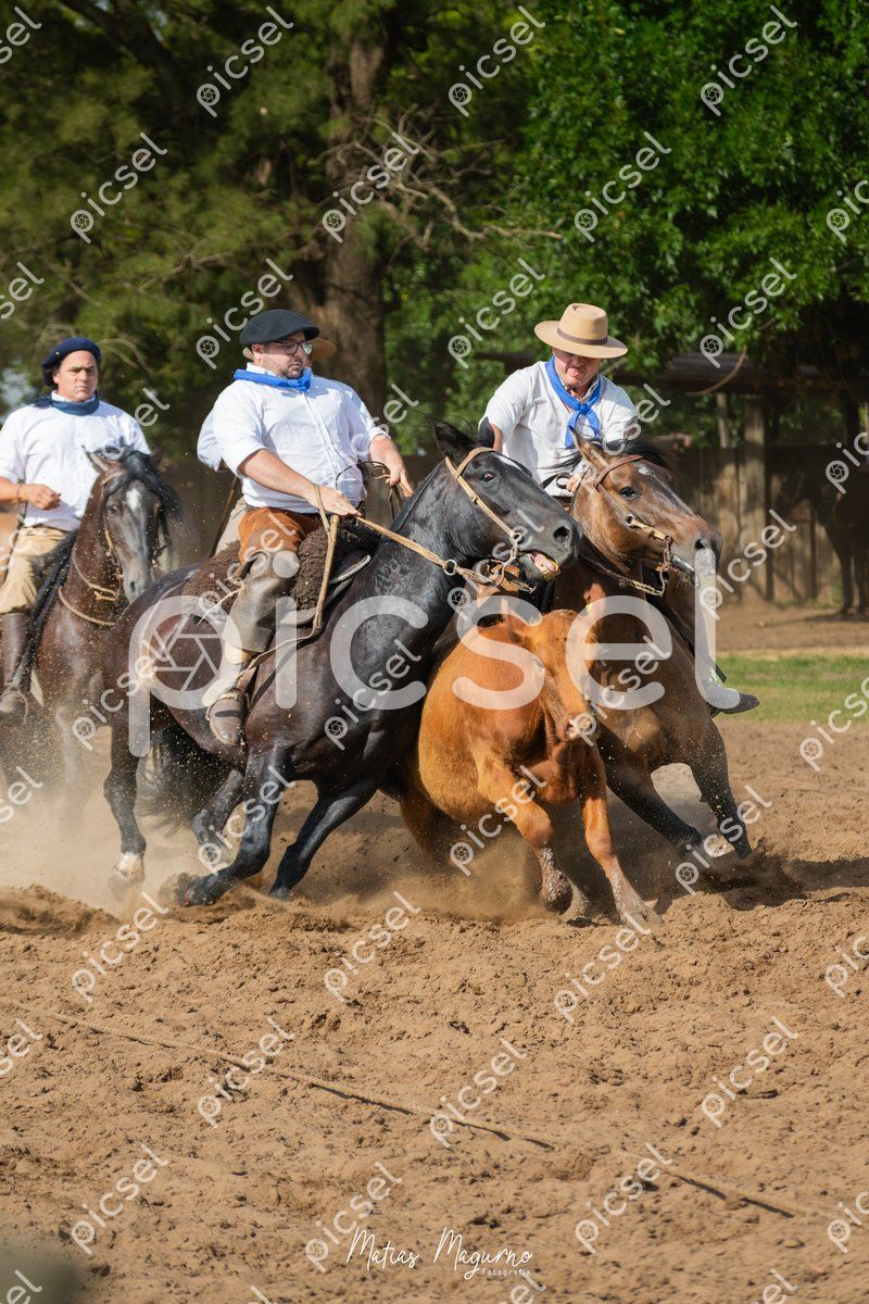 Photo of zfm36kmzqd279rksu6psyi3o