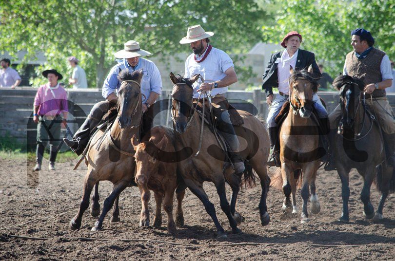 Photo of utu6wcdmndc9rmh0bsdt3t8t