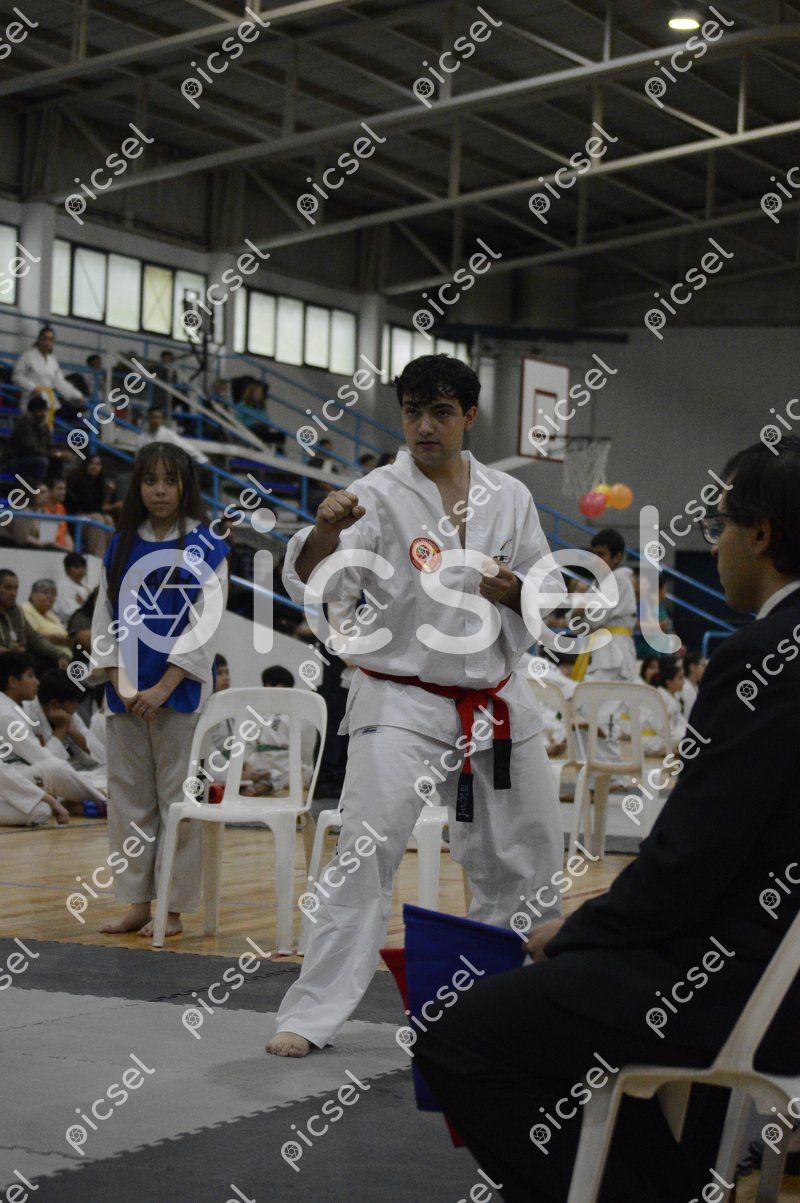 Photo of dl5a2b3gh8nxbess5ouhaekh