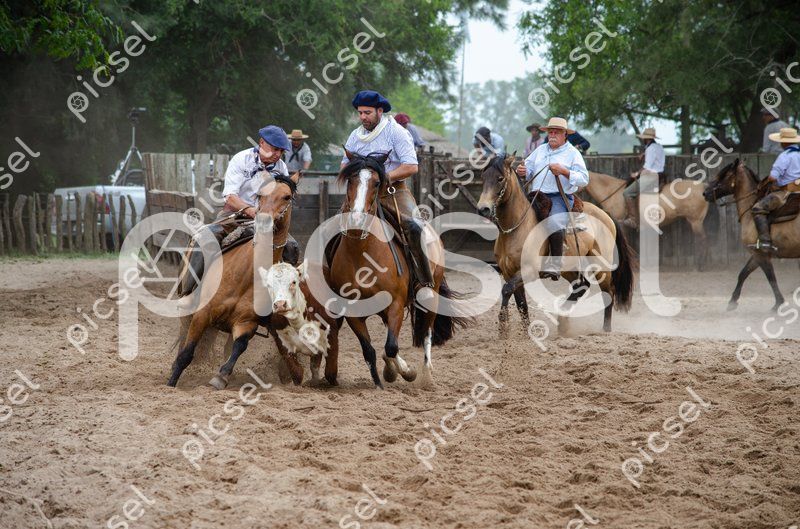 Photo of k8flukceat10924r1189io2s