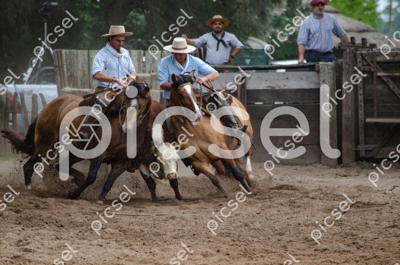 Photo of lxs5firvvy58nirsmbn5ho2e