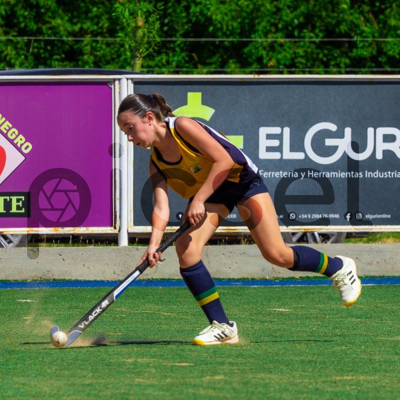 Photo of v8mw57exnb1k86es26f5g2jk