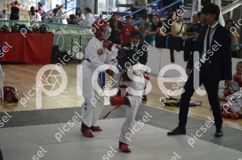 Photo of v31m2qfbjtqrlgh2kyomis0i