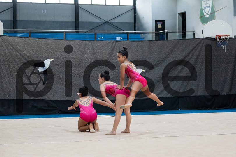 Photo of y52renpeln4iqujyx8vt4itc