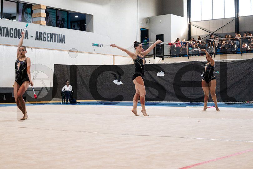 Photo of legl3fj6ebof0nei0cr5n38f