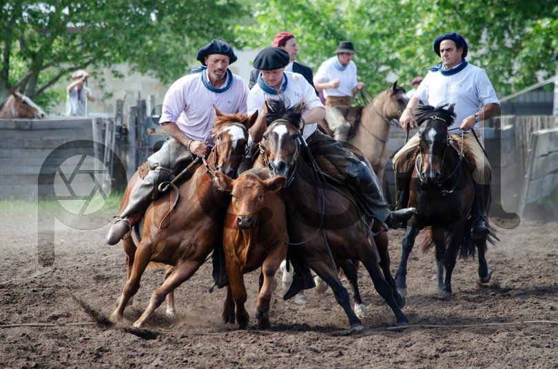 Photo of cqzhtlnual7abvyuu9xufz5j