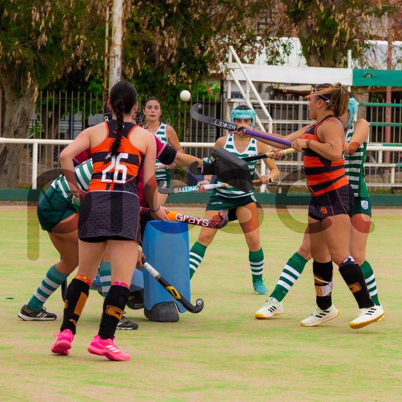 Photo of tmtbcsv5h1h4f32963zs2hkz