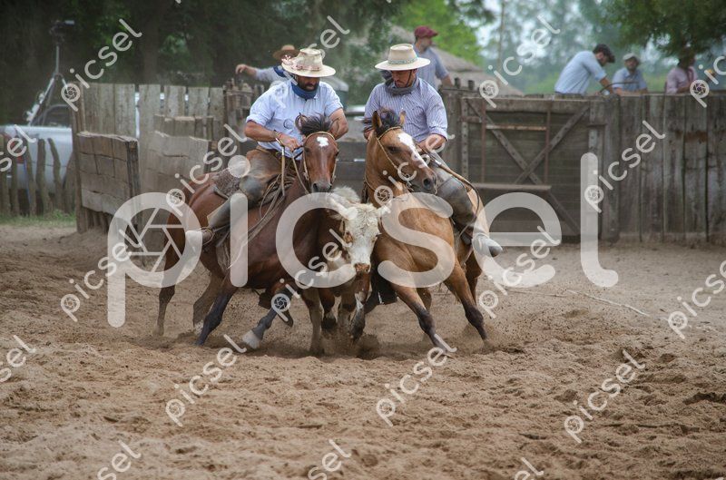 Photo of ykg0jlwopaer911wndrfznqc