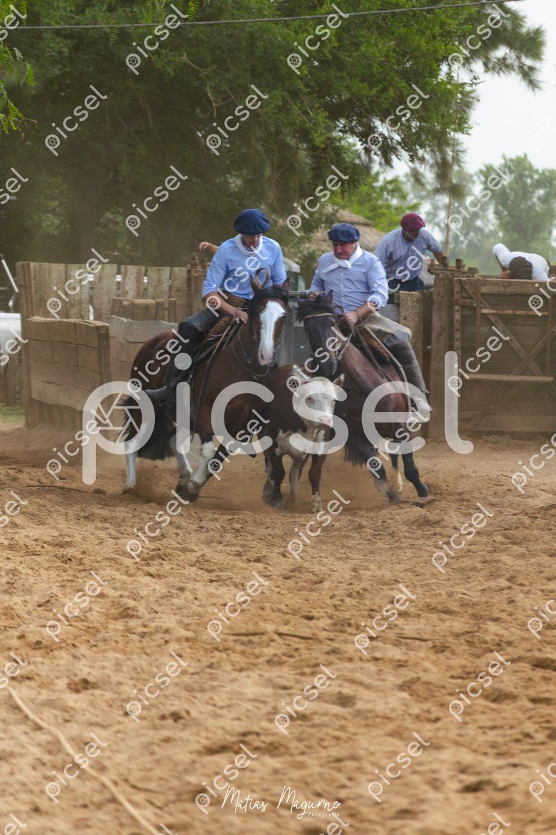 Photo of jbli25ktx9b9jzbtabrw1lbh