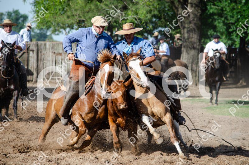 Photo of hi5howcw7di3fwj7niejsqai