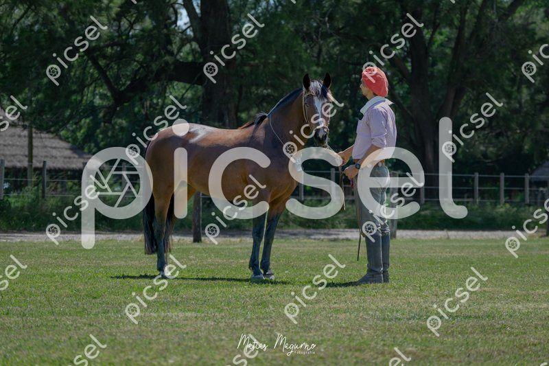 Photo of s5m7mwz1er2jg8s75rq36upa