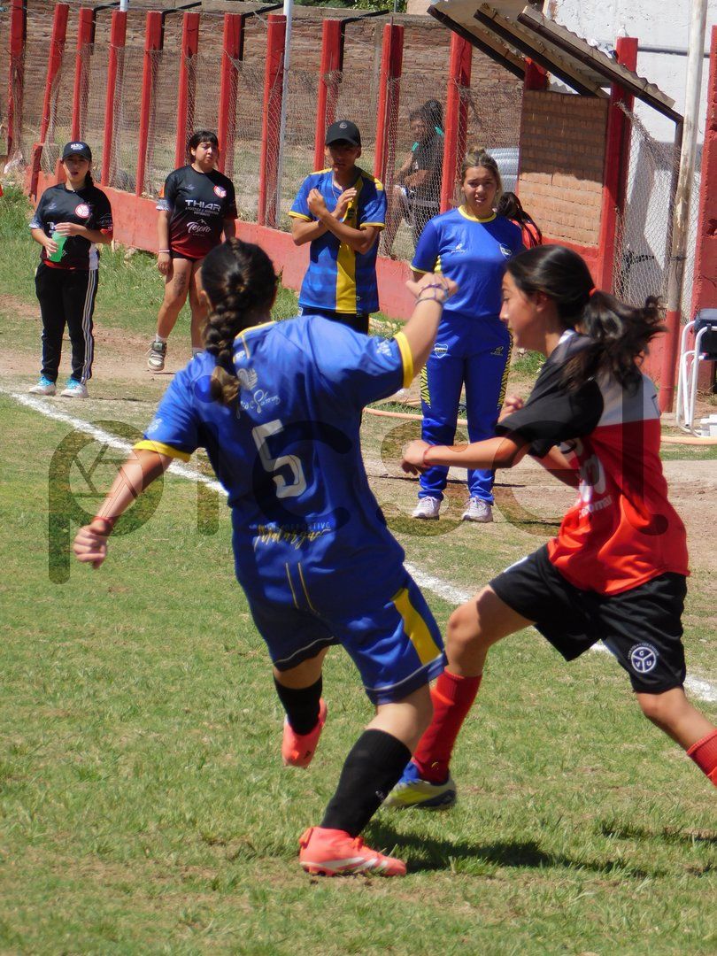 Photo of pmnbpll2poi0rbrvzz3lu5yc