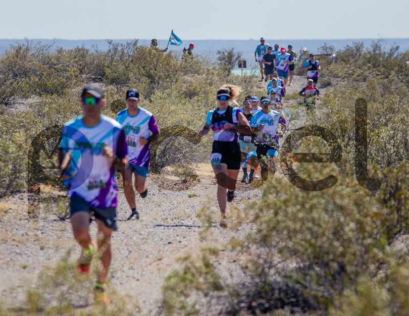 Photo of tqpf8zs0572fifg5ojy0r8aw