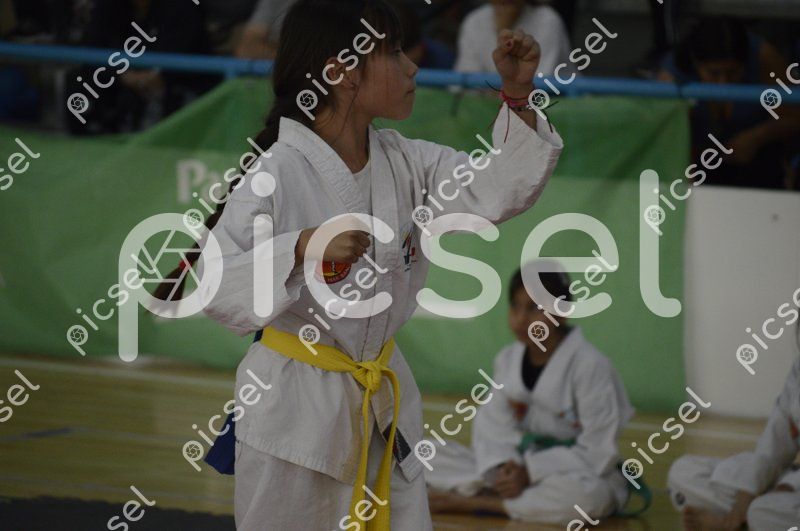 Photo of ci664znxcw2v50hjab9ssnnx