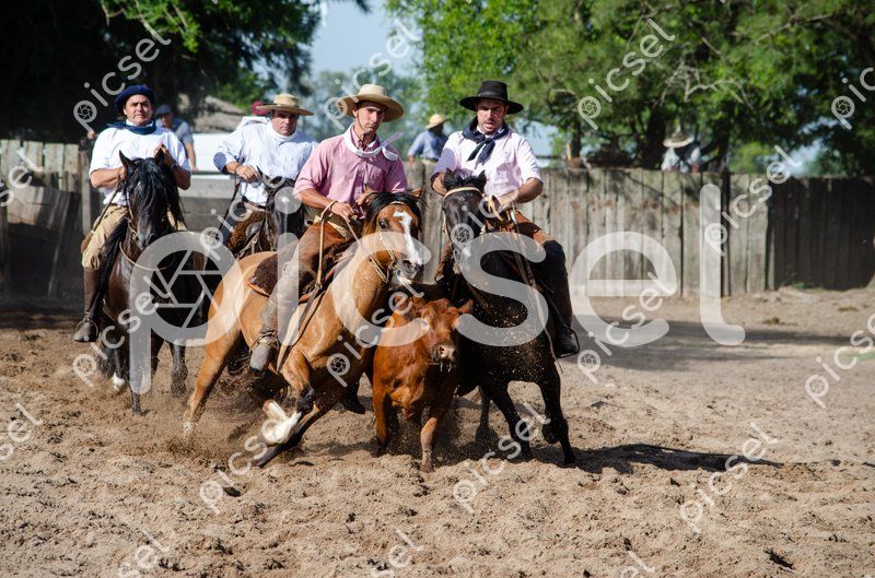 Photo of jej4axwjlfet9w6q7y2gv6ze