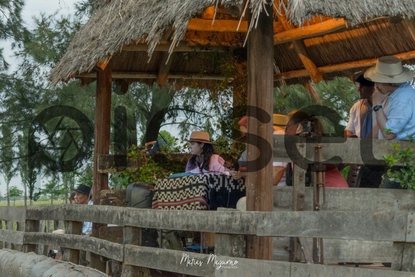 Photo of i2ks5yeet0tezbo687n1bycp