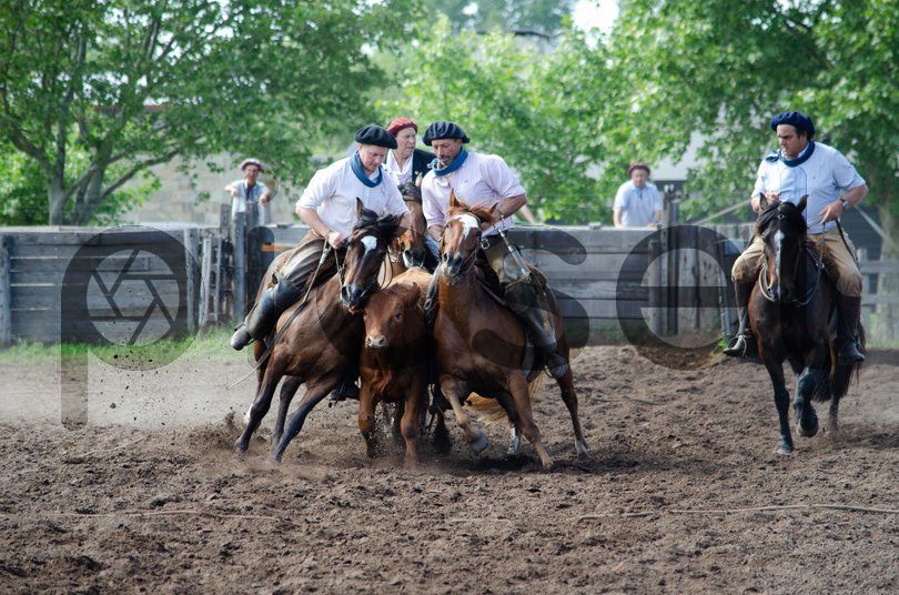 Photo of n2con0fkzvmatyqit1xtbqw7