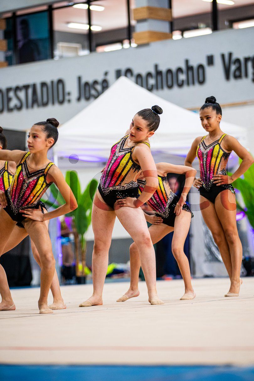 Photo of bfk1tblgn7erpbg303xyib8p