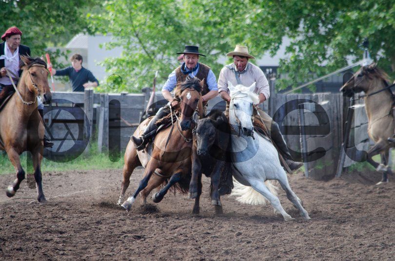 Photo of htxoyqh3g3spm7bp7qwj8kzh