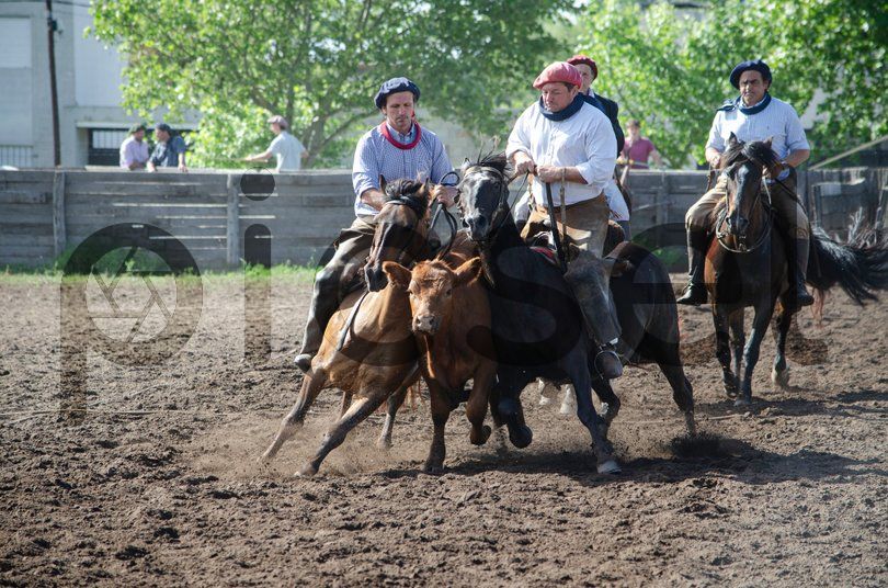 Photo of fb9d0tuvijh89m477n38o6rf