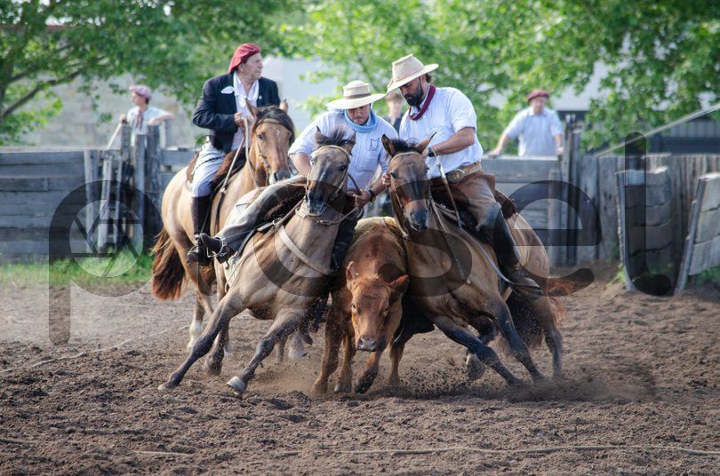 Photo of uthl86crf920thgz9bjzbfc7