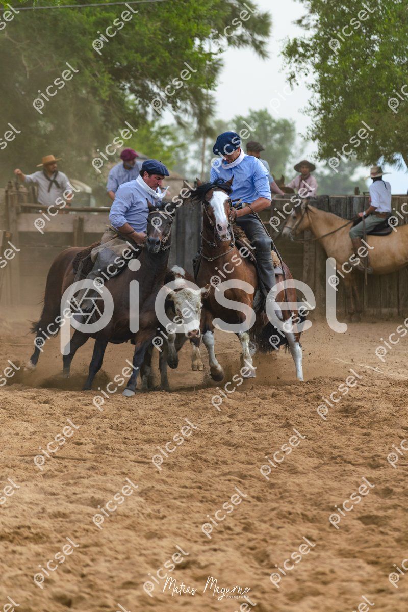 Photo of qmgbuwn78wu4pd3p3j15i339