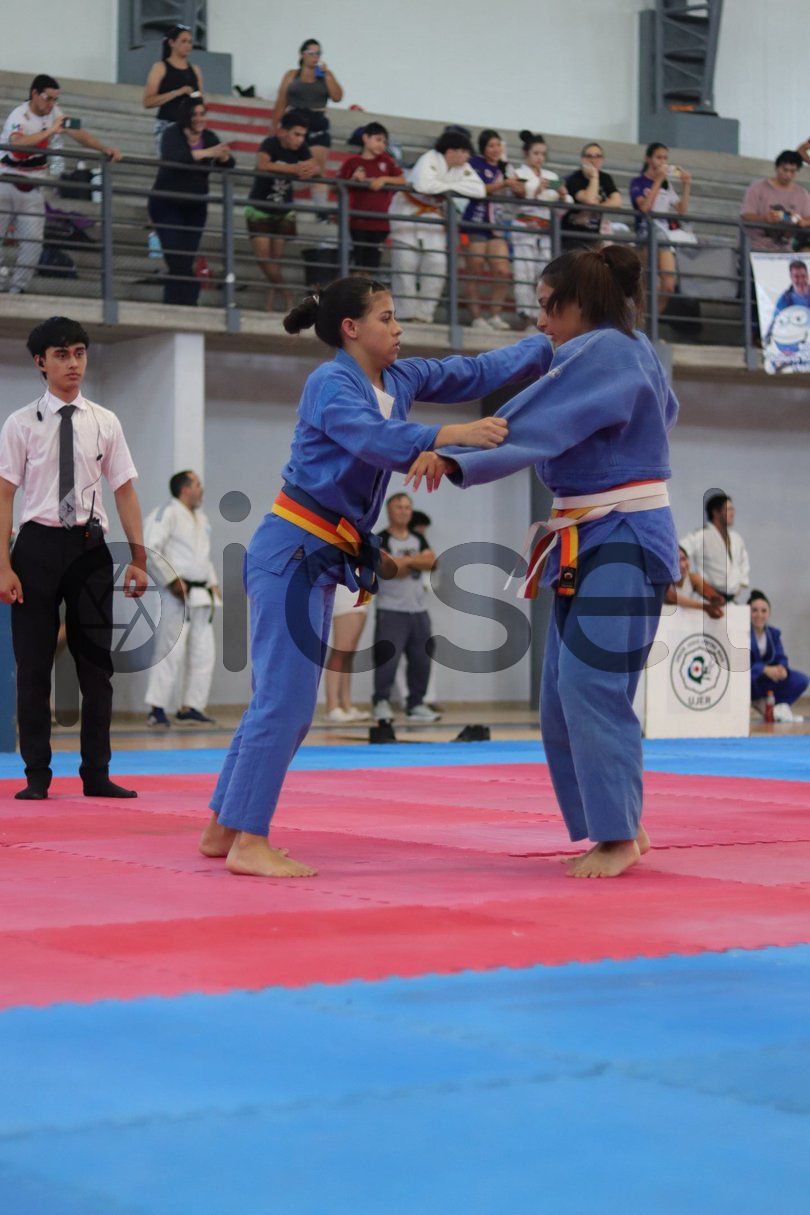 Photo of xnpz5jha3b0hz5dd7gijupts