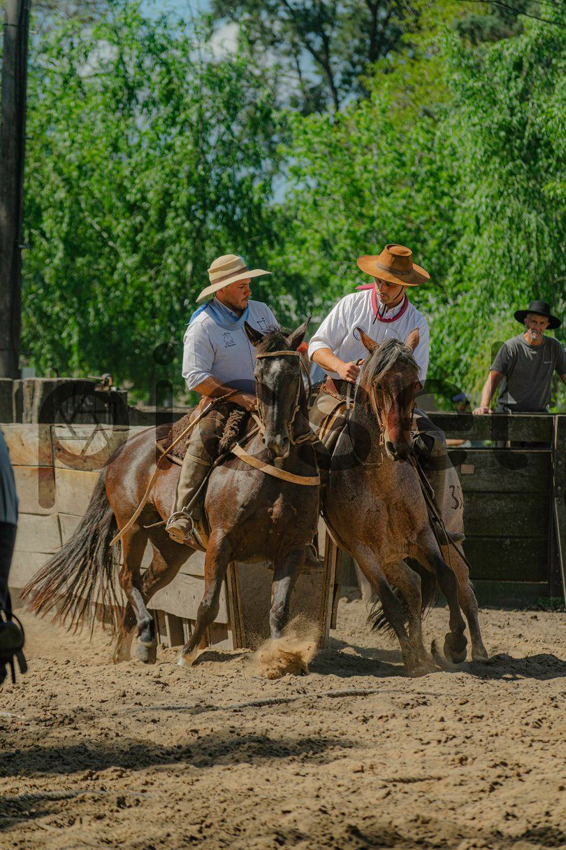 Photo of snk51qkz2xv90mkm3swgbfva