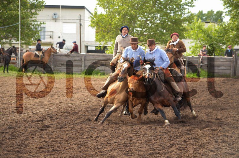 Photo of lfo700gl6jd8cc0ow6sh7c0o