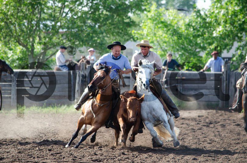 Photo of ksflnbp5d04vfvcrzxsao78o