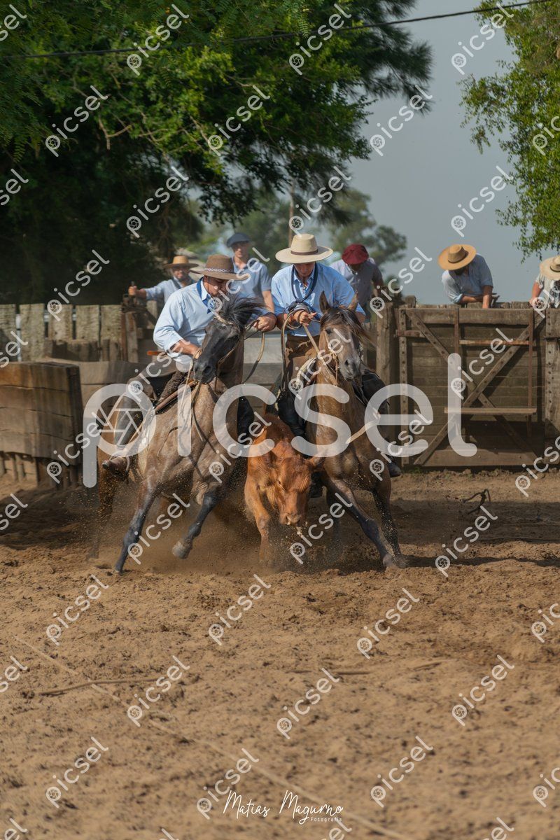 Photo of xtfylqsu5qbcit37e4c340yk