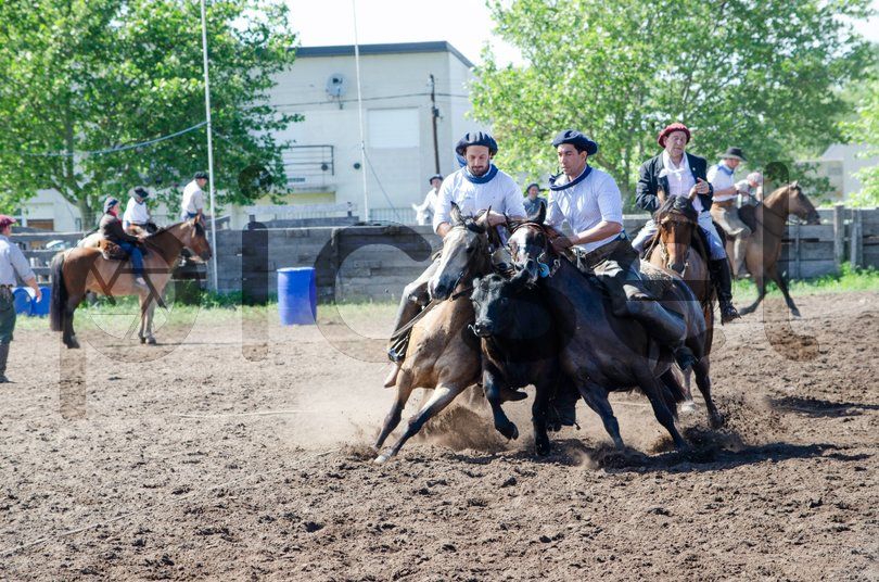 Photo of uuzicbjcwf4rpgcmh2n6veh5