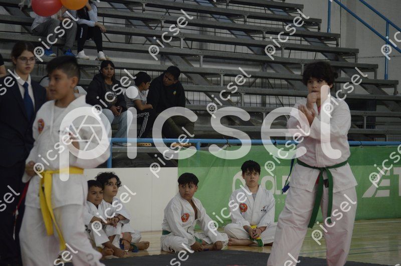 Photo of p31yra31qfyxerght05ckh6l