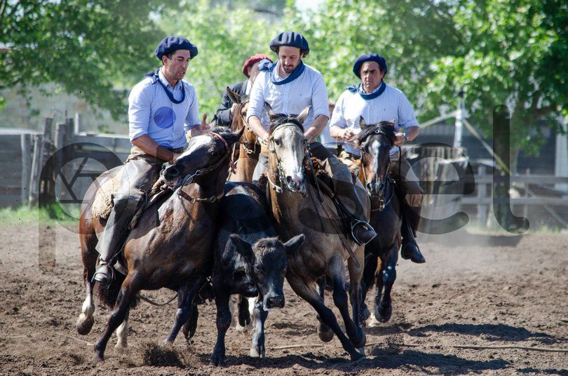 Photo of nuudza4dq1pdt2zk0gw0kab8