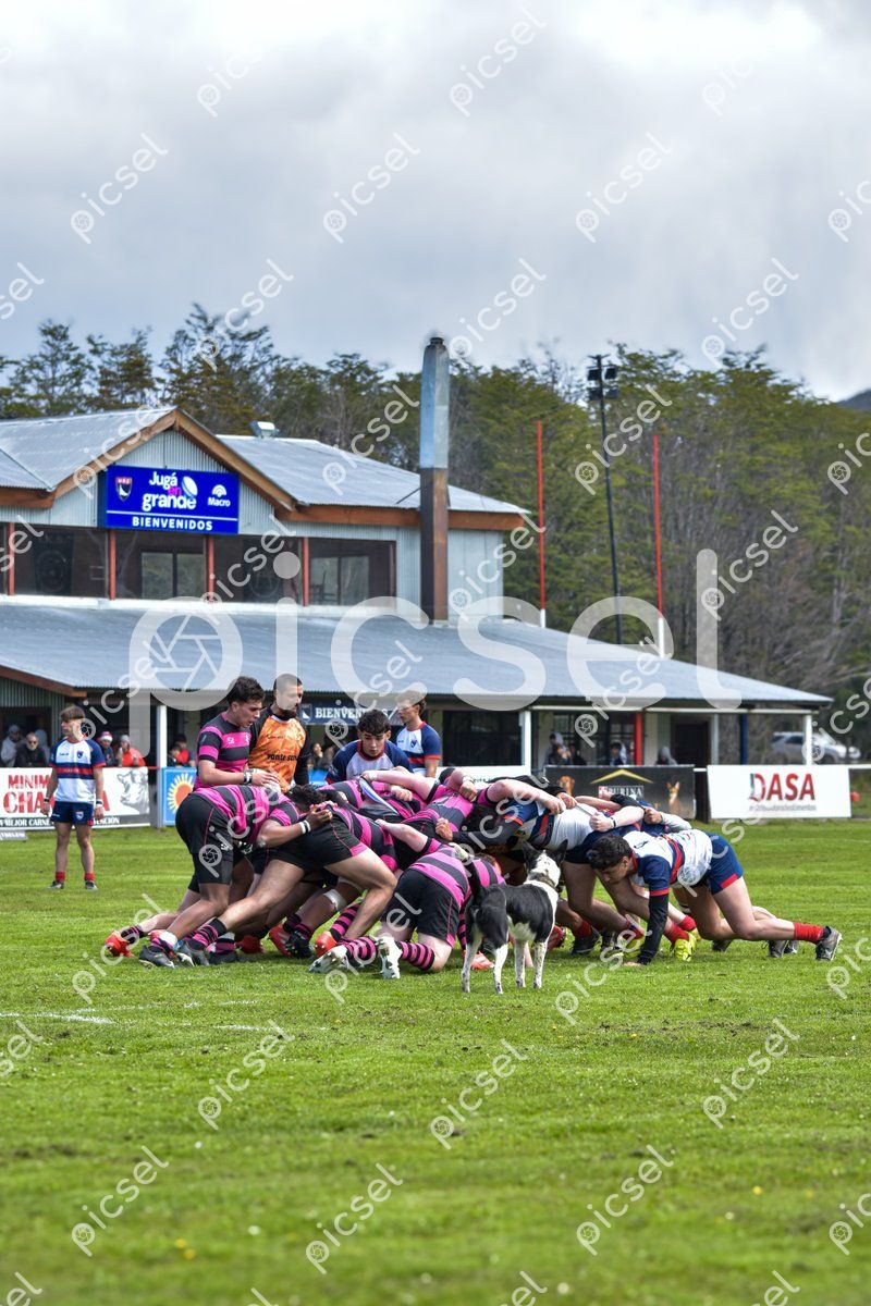 Photo of mjdmlacj4vrzq2bwcf4eha5b