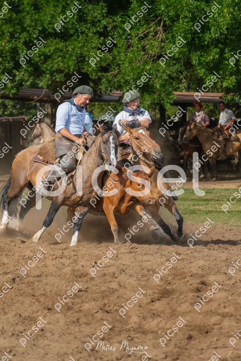 Photo of oojsy22n530dqwsant1esfkb