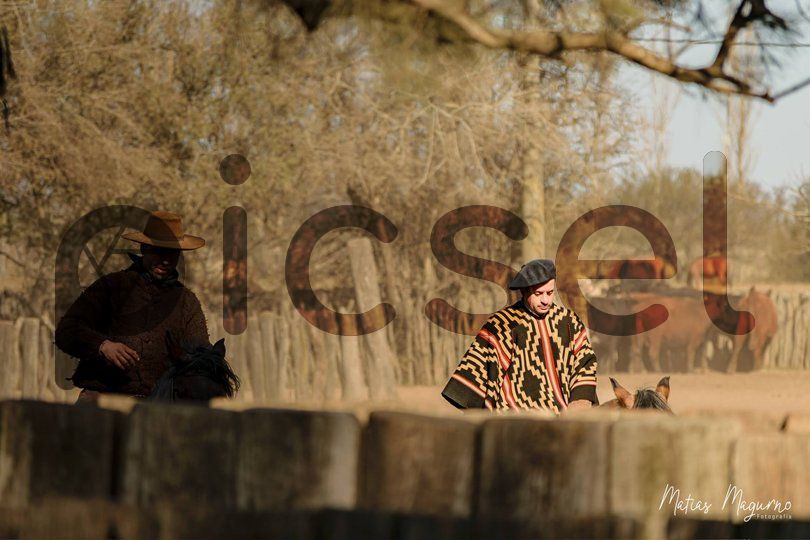 Photo of xasd394drmv56ijyxgbtl3ir