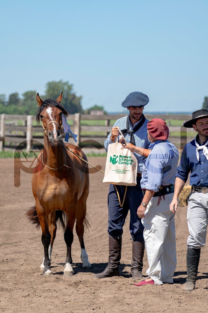 Photo of g1wpr4lkbu1fnf4hwu2ivmlj