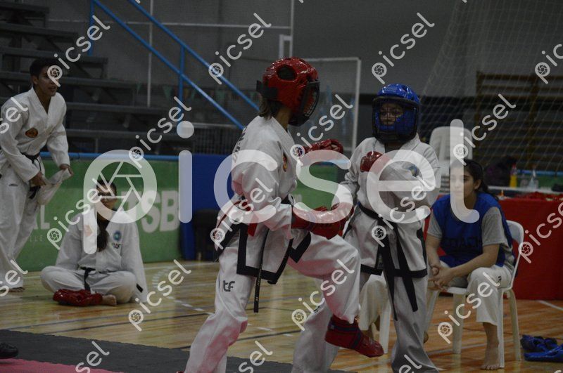 Photo of hx2jsjbc6fv4ln41qjd7d43p