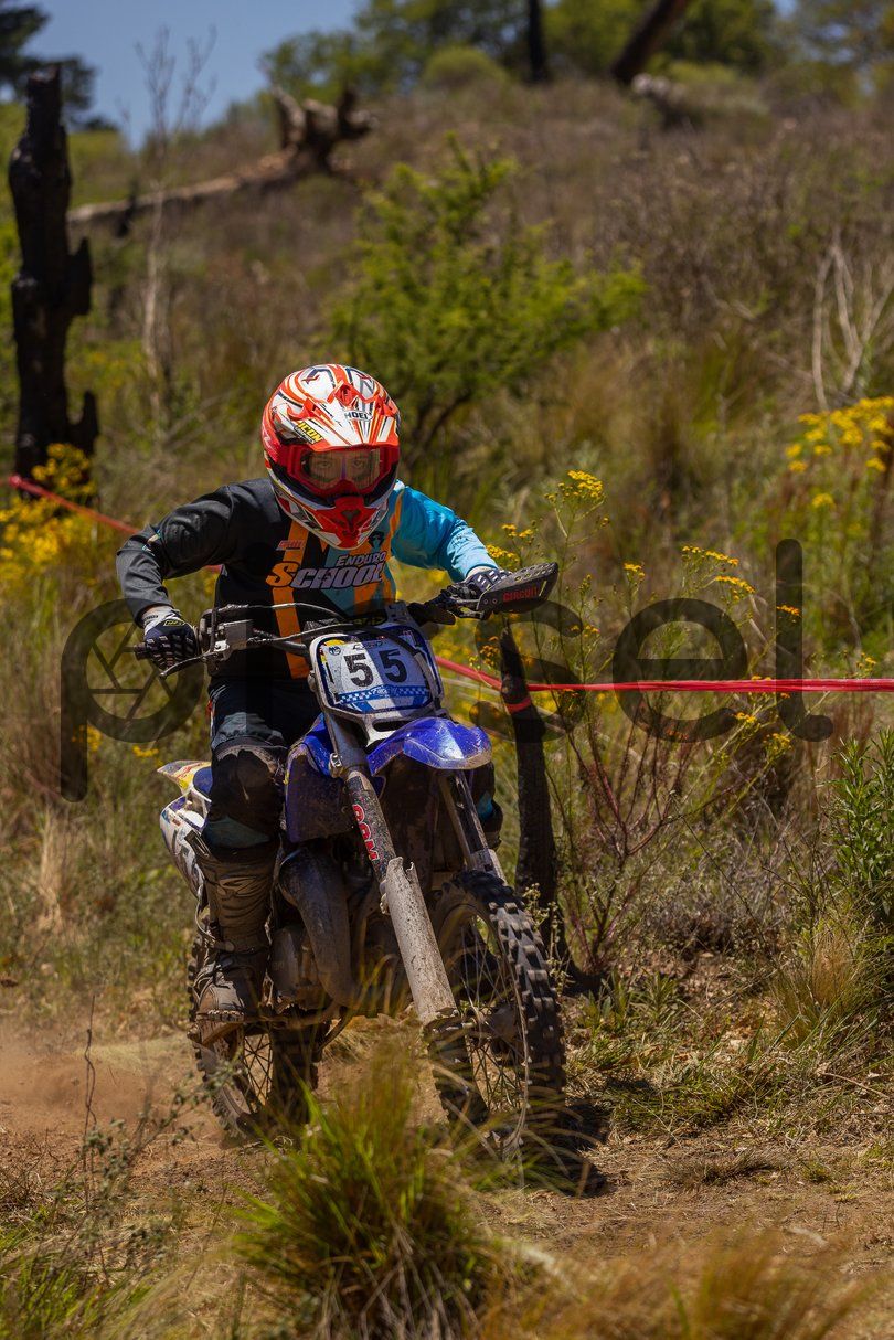 Photo of cpqzpja1pjxd3co8ibj0a7f6