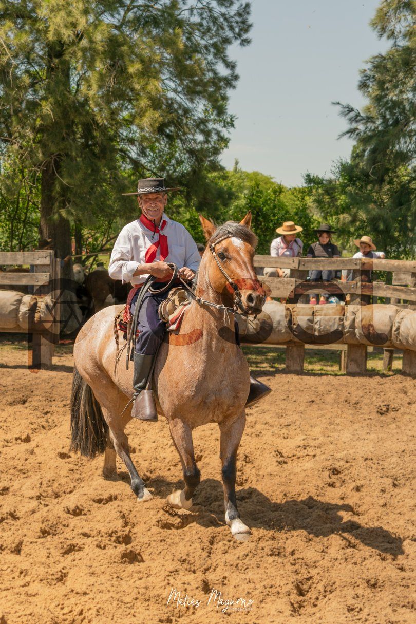 Photo of lepvb18xtj9u95fvcg7hcw5n